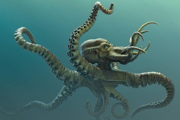 Kraken зеркала kr2web in