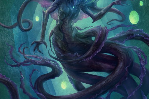 Kraken 24 at