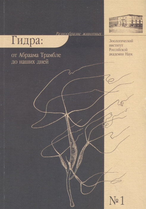 Ссылка на кракен площадка