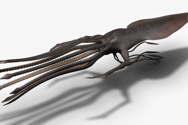 Не могу зайти на кракен